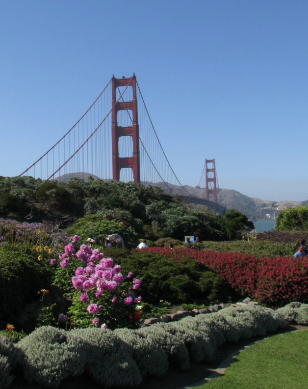 Screen Shot 2016-01-13 at 17.17.32