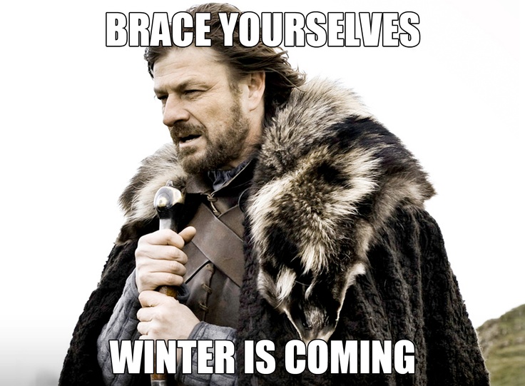 Ned stark in fur clutching a sword with the text "Brace yourselves winter is coming" overlaid on top of it