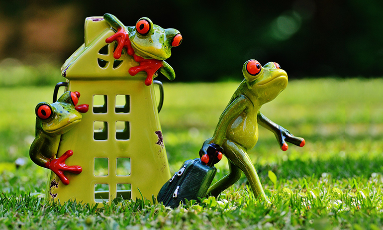 A frog with a suitcase saying goodbye to it's parents, which represents independence, one of the things to consider before coming out to your Irish parents