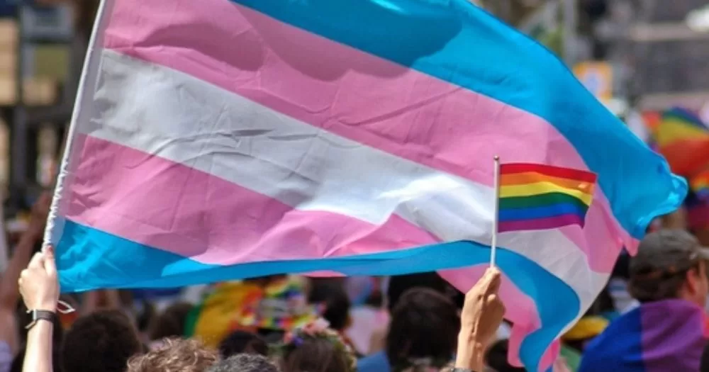 A transgender flag flows above a large crowd. A small LGBTQ+ flag is also seen beside the transgender flag.