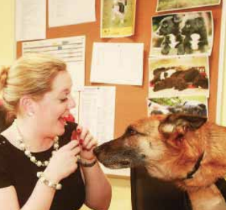 Screen Shot 2015-08-11 at 11.57.20