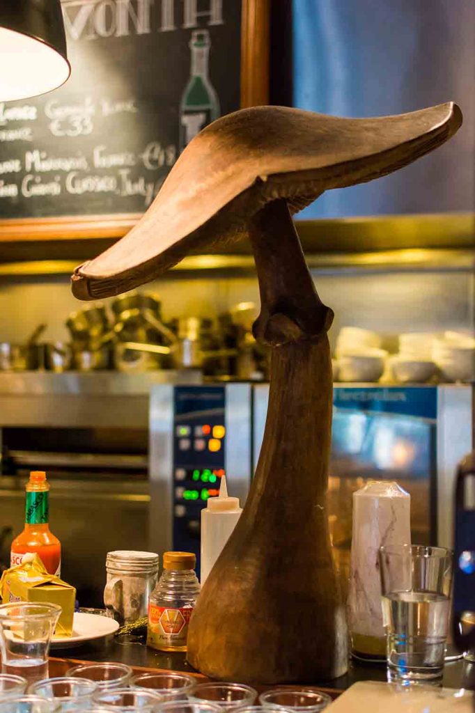 Coppinger Row mushroom