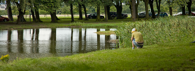 The phoenix park, where a Homophobic attack occurred which saw a gay man beaten by a gang of teens