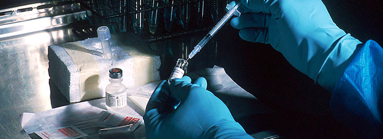 A scientist with gloves about to administer a meningitis vaccine