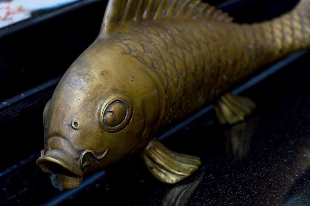 A metallic fish artefact from Yamamori Sushi, who's manager Graham Ryan we interviewed in this month's Amuse Bouche