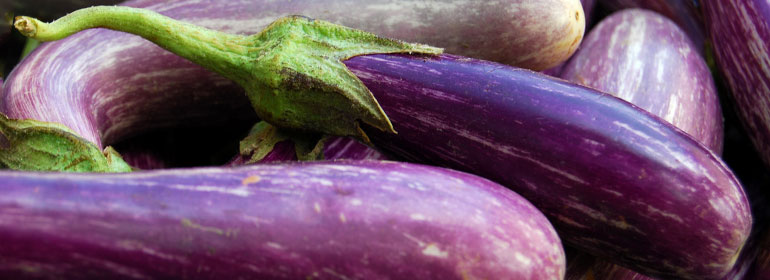 a picture of an eggplant which is one of the stories in today's Cuppán Gay