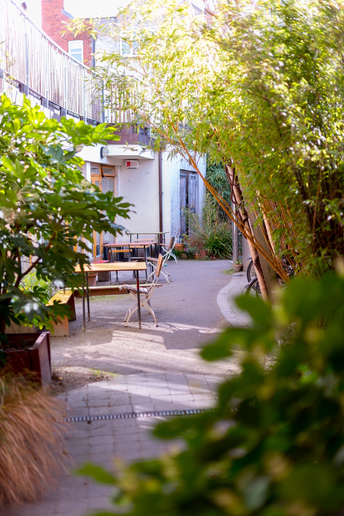 A lovely outdoor area surrounded by greenery at the cake cafe and slice which are both owned by Ray O'Neill