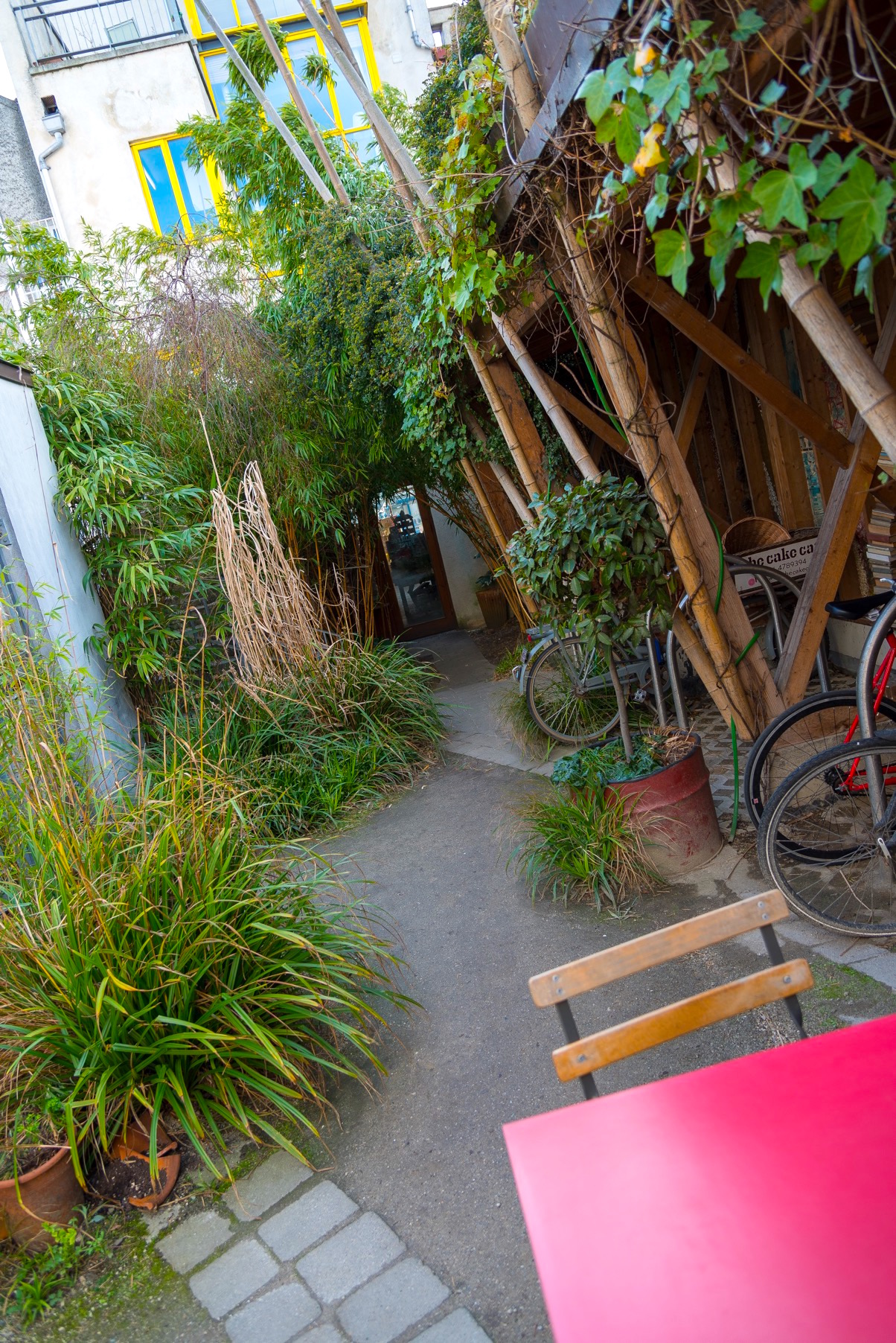 Greenery and a red chair at the cake cafe and slice which are both owned by Ray O'Neill