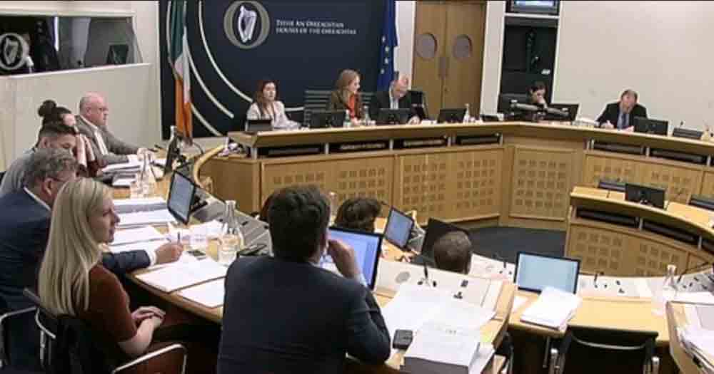 Imagin of the oireachtas commitees live broadcast where the repeal vote took place