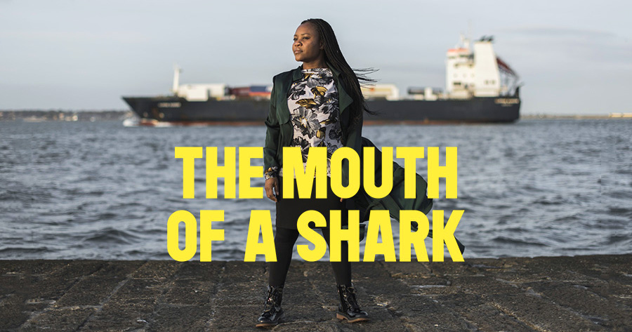 Poster for The Mouth Of A Shark showing a woman standing by the seaside