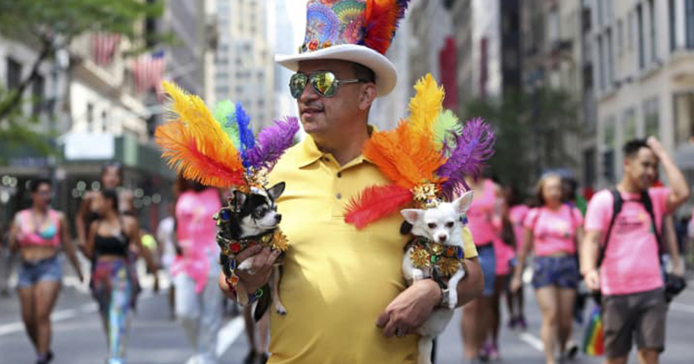 fabulous-pets-marching-gay-pride-parades