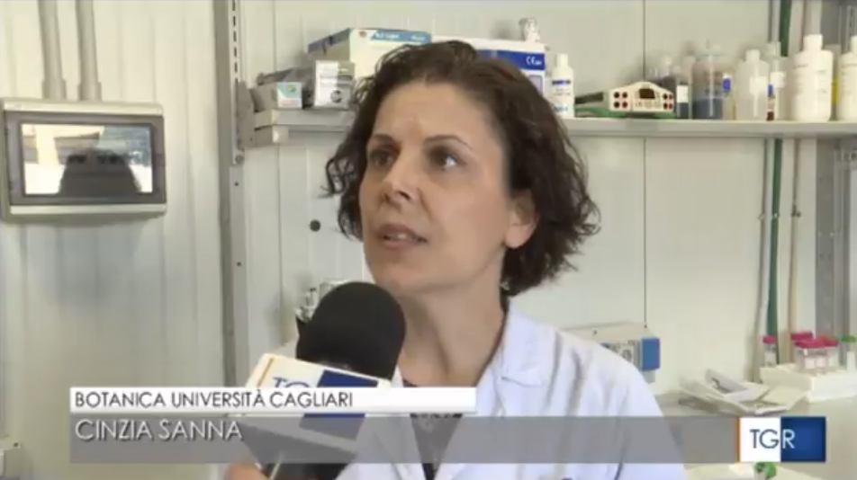 Researcher of Plant that could stop spread of HIV