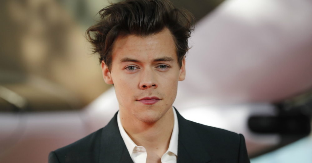 WATCH: Harry Styles Stops Show To Help Fan Come Out
