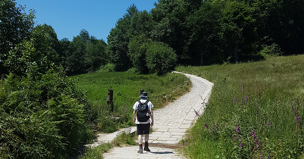 Following the Camino