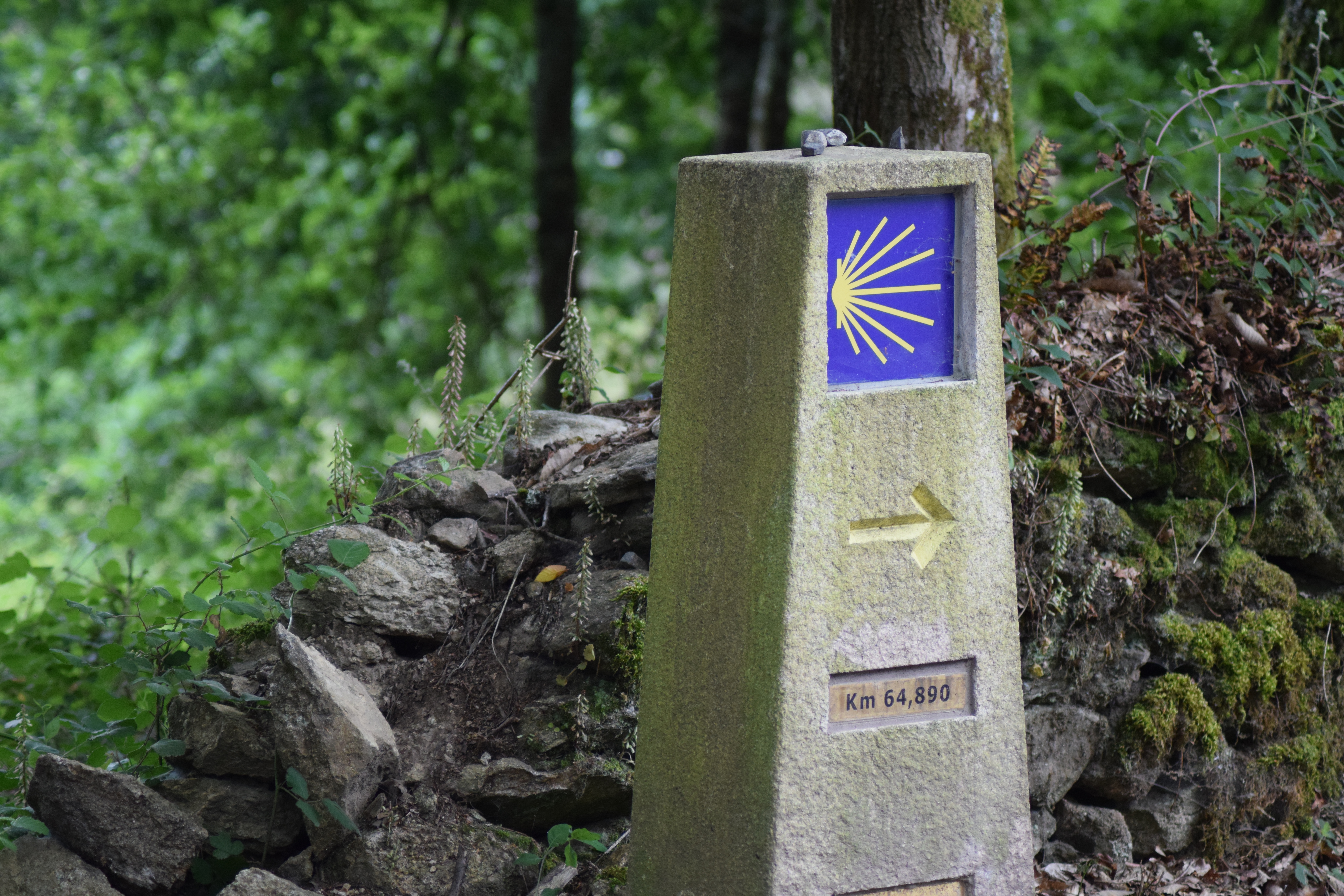 Following the Camino