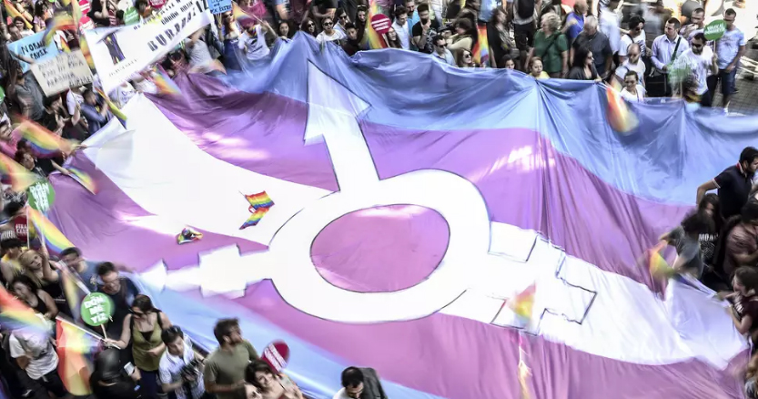 Image of a trans pride demonstration. A study found that 80% of women worldwide support equal rights for trans women.