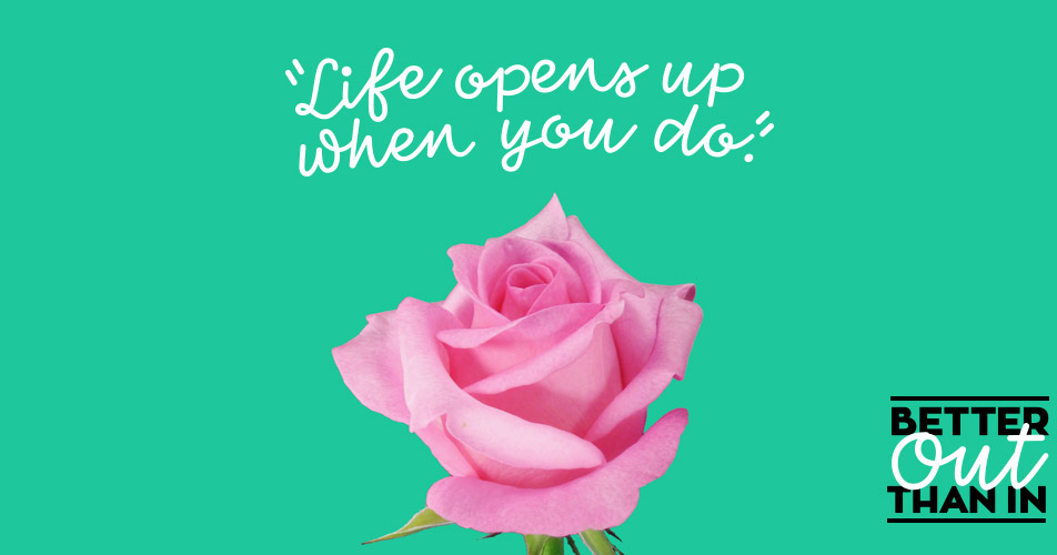 A pink rose under text that reads "Better Out Than In"