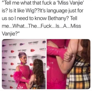 Katy Perry Ms Vanjie Meme