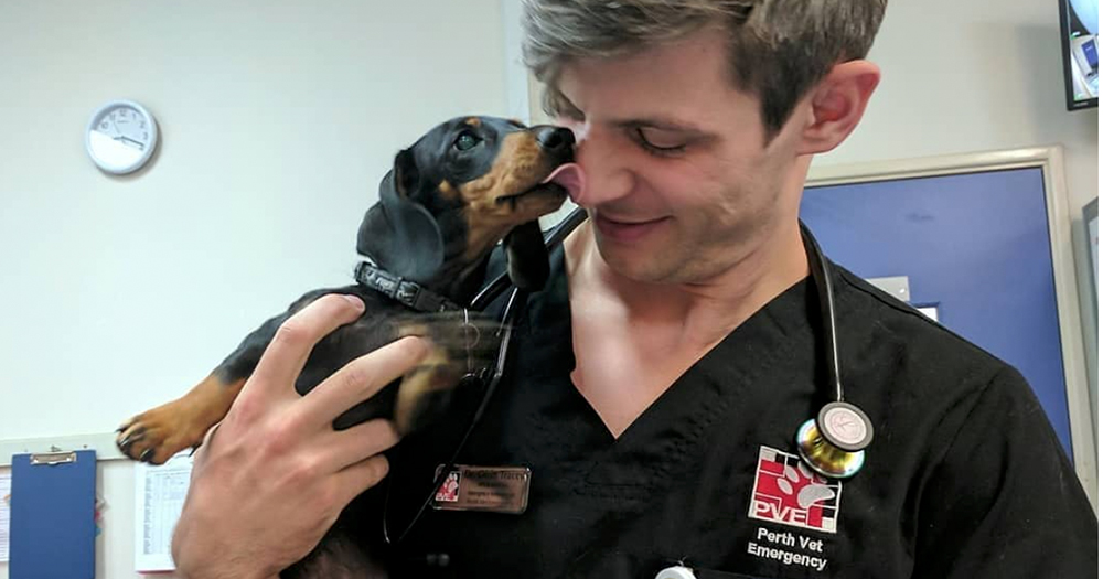 Oisín Davis, a vet in Perth, has his face licked by a small dog