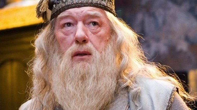 DIY halloween costume ideas: Albus Dumbledore from Harry Potter