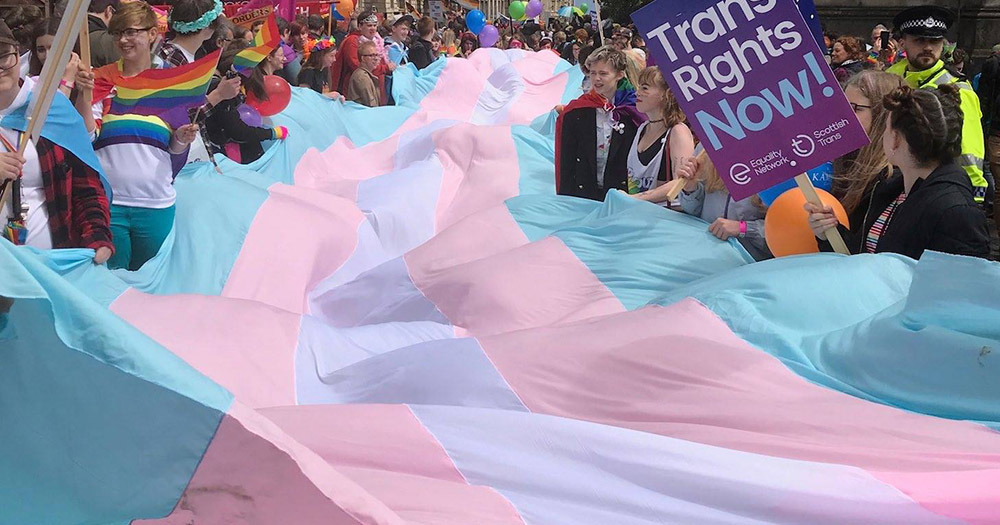 A large transgender flag held by many people