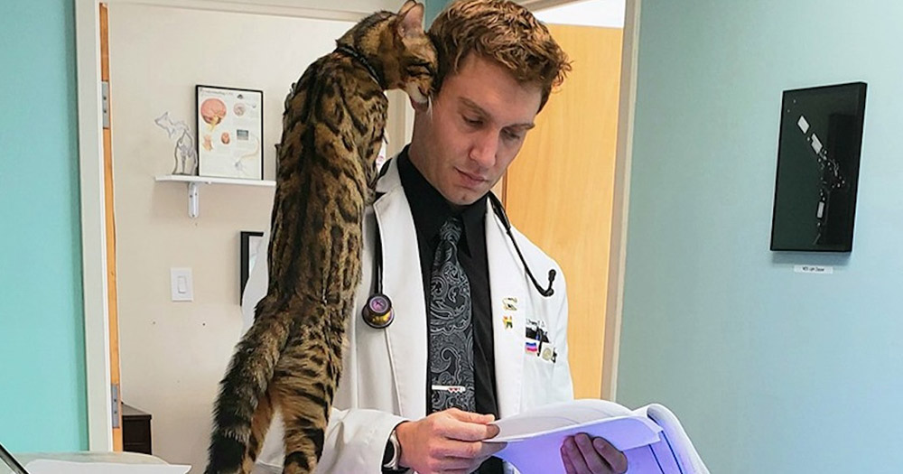 Doctor William Powers reading a file as his cat stands on his arm in their LGBT+ friendly medical clinic.