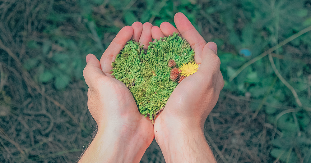Cupped hands holding moss
