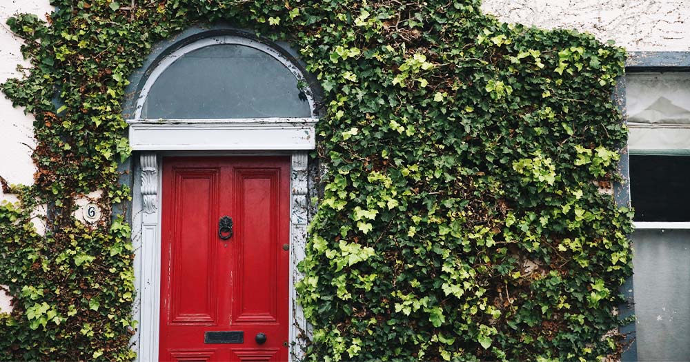 A red front door with the building covered by ivy