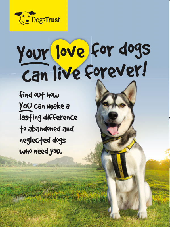 a husky sitting on green grass: Does Trust Poster
