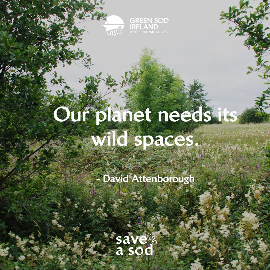 Save a sod campaign: picture of a meadow with the text Our planet needs its wild spaces.