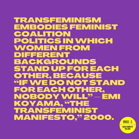 Post by Queer Amnesty Ireland on transfeminism