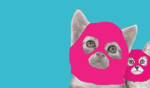 Black and white photograph of two kittens wearing pink balaclavas on a turquoise background.