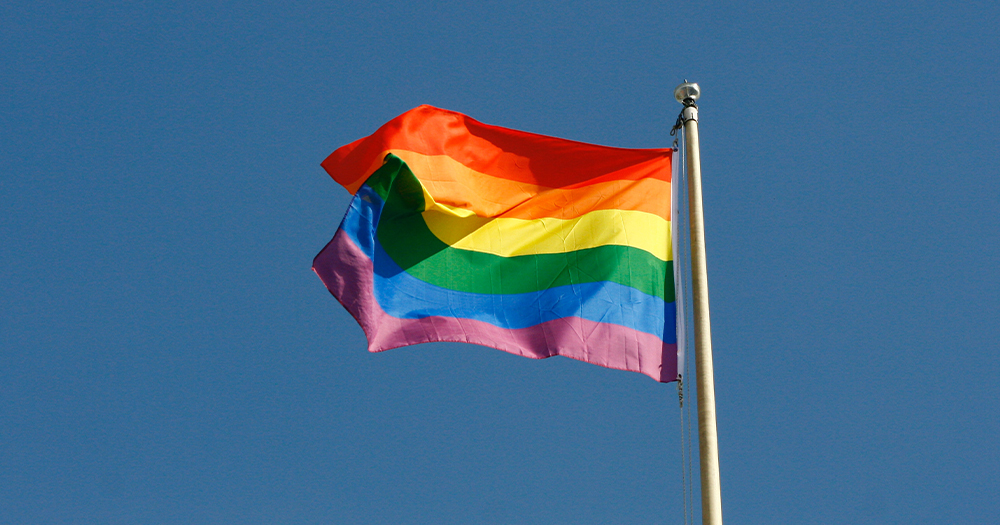 A rainbow flag in the wind