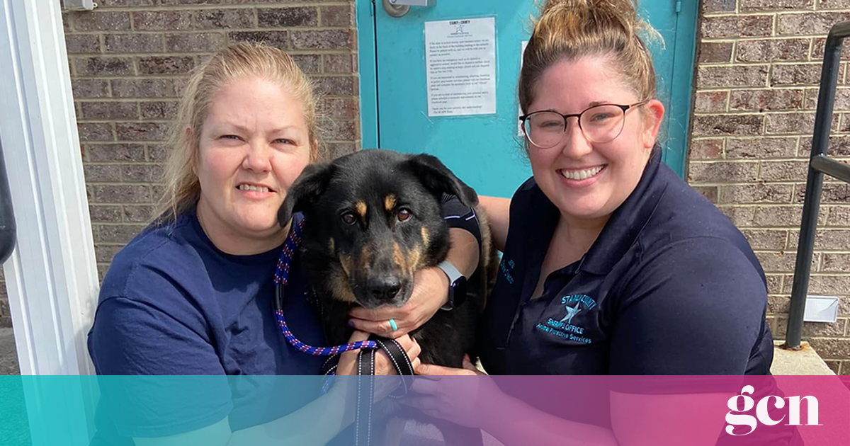 Gay couple adopt dog who was abandoned for being “gay” • GCN