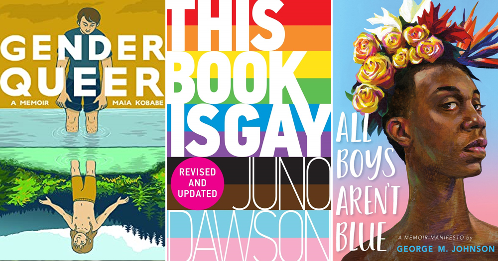 Covers of three books that were banned in schools in the US. Titles of the books are: Gender Queer, by Maia Kobabe, This book is gay, by Juno Dawson and All boys aren't blue, by George M. Johnson
