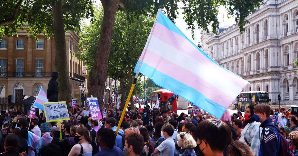 Trans rights rally with a Trans flag waving in a crowd, outdoors. This story details the conversion therapy ban that does not protect Trans people in the UK.