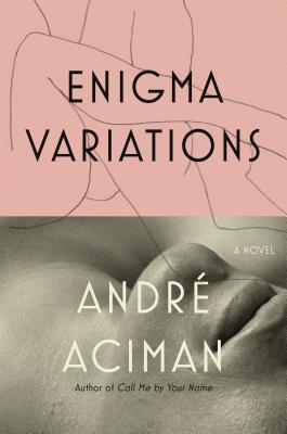 Cover of Enigma Variations, one of our necessary queer reads. A split image, the top half a pink background with the title, and the bottom is a black and white photo of the bottom of someone's face.