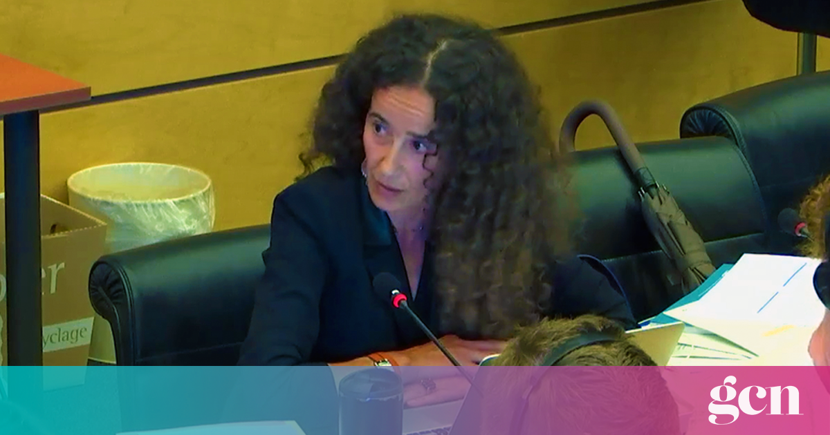 Irish abortion laws are 'inhumane' and discriminatory, says UN • GCN
