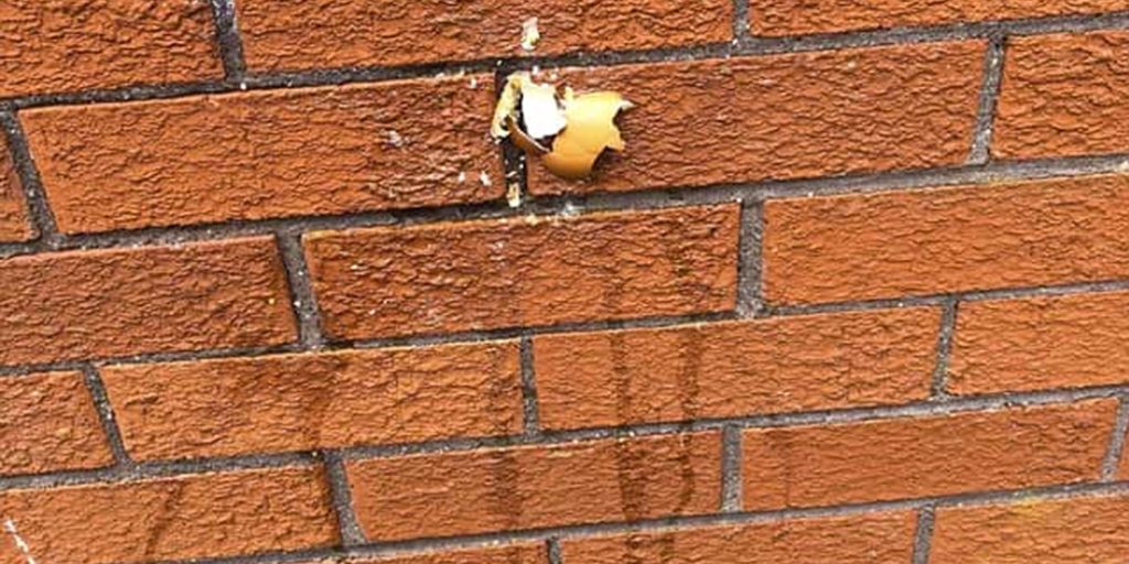 A derry woman's house was vandalised with eggs and faeces.