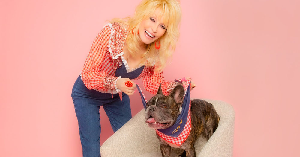 The image shows Dolly Parton putting one of her new Doggy Parton bandanas on a French Bulldog. The bandana is red and white gingham with a denim collar. Dolly is wearing a matching red and white blouse with denim dungarees.