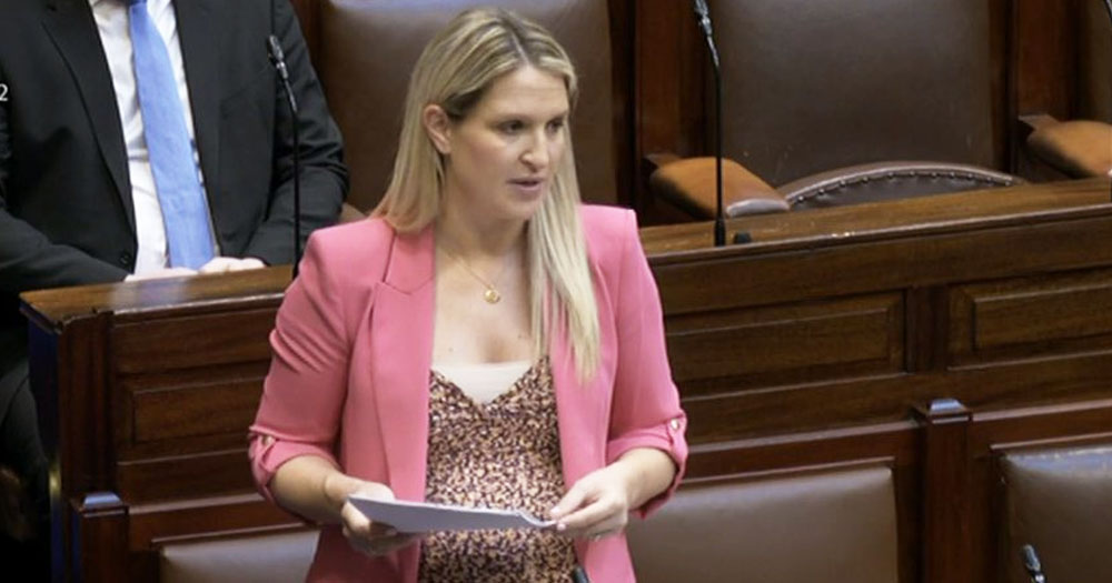 Minister McEntee speaking to the Dáil about the new hate crime bill.