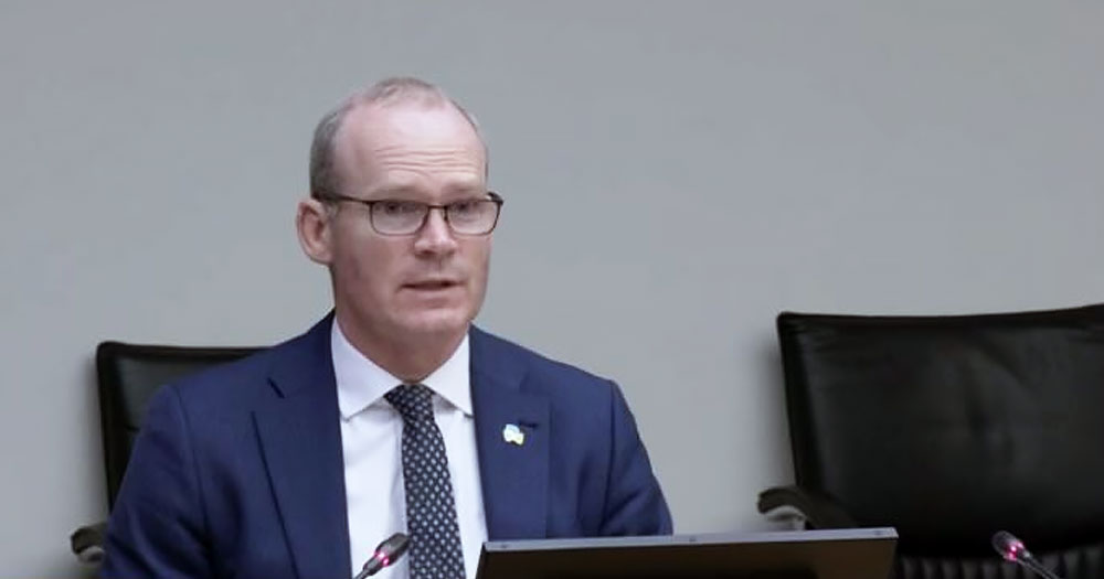 Irish Minister Coveney, who recently criticised the Qatar World Cup and FIFA.