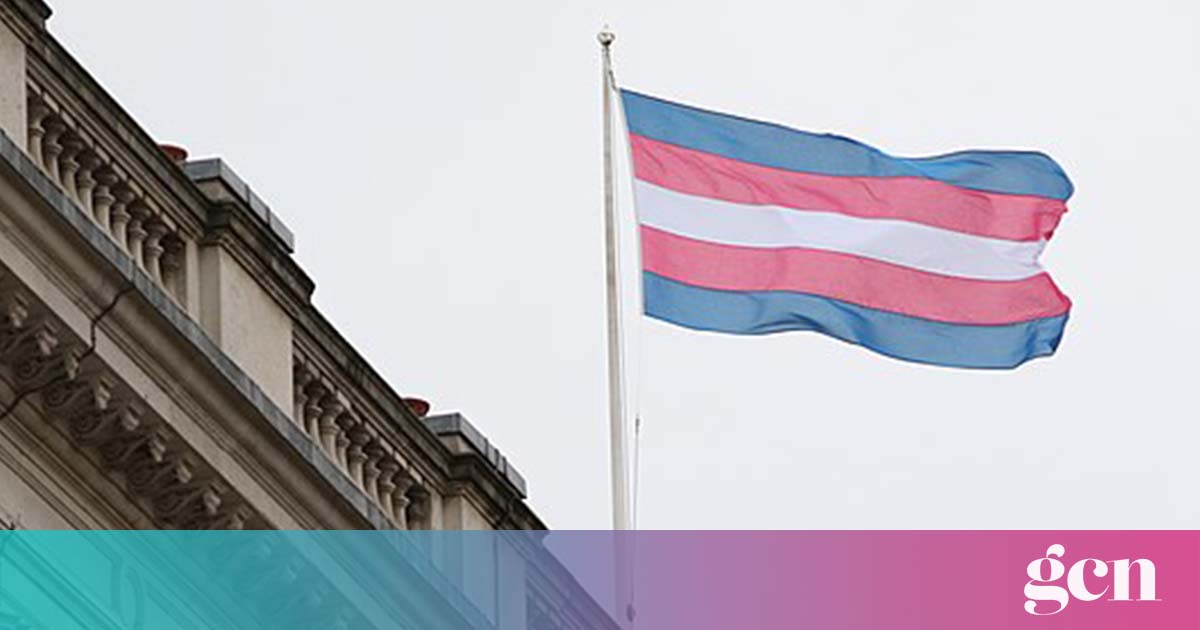 Carlow town hall proud to fly first trans flag on transgender day of ...