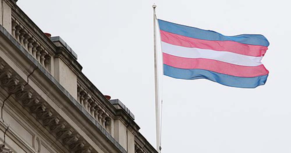 The trans flag represented with pink, blue, and white stripes celebrates Carlow flying the trans flag on trans remembrance day.