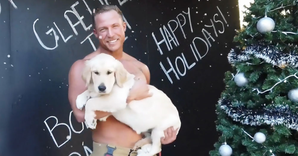 The image shows one of the Australian Firefighters from the calendar. He is shirtless holding a golden labrador in his arms beside a Christmas tree.