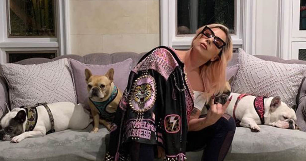 Lady Gaga on the couch with her three dogs.