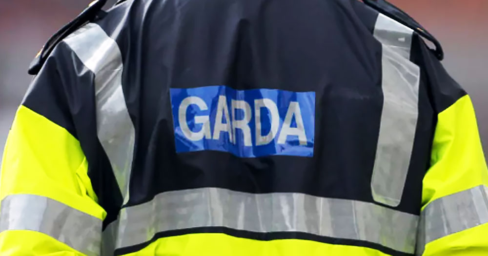 This article is about a Garda policy for trans personnel to feel safe and included in the workplace. In the photo, the back of a Garda in uniform.