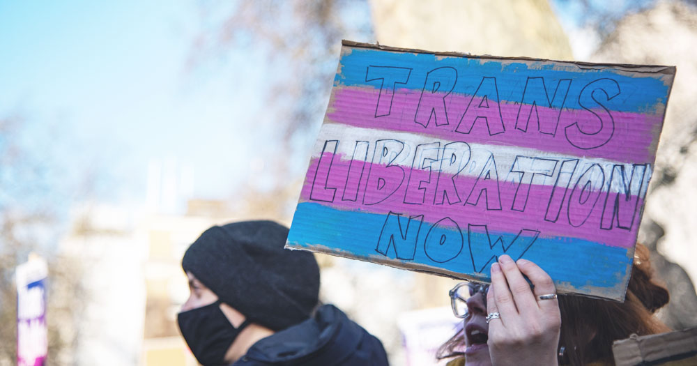 This article is about a Dublin demonstration on Trans Day of Visibility. In the photo, a person holding a signs in the colours of the trans flag that reads "trans liberation now".