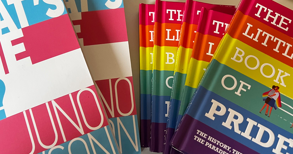 A pile of book covers in trans and rainbow colours, Library branches in Ireland have issued new procedures for dealing with protestors and issuing young adult LGBTQ+ books.