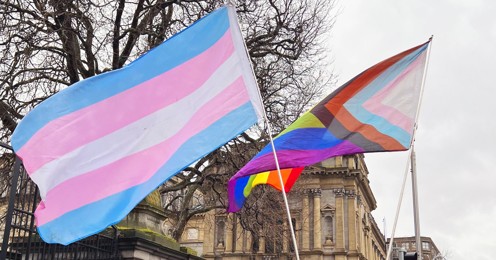 On Trans Visibility Day, a trans flag and a progress pride flag flowing in front of the Dail in Dublin.